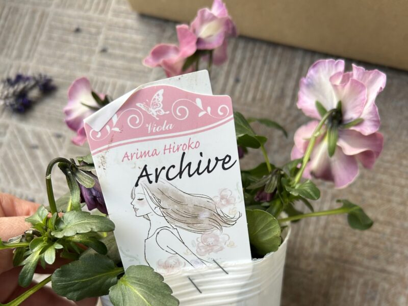 ニュアンスカラーのビオラ 春の寄せ植え