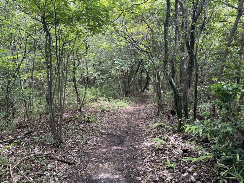 平井山 太閤道